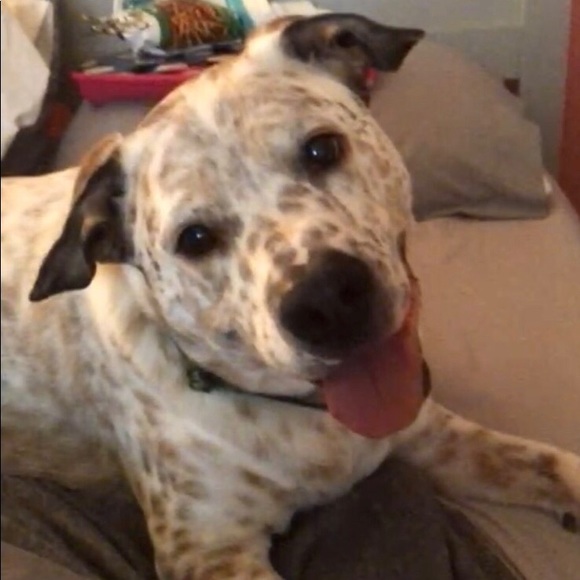 Meet your Posh Ambassador, Michaelina - Picture 3 of 11